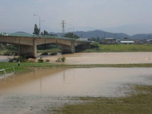 水の浄化